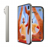 iPhone 18 Duo