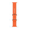 Apple Watch Ultra 2 Natural Titanium Ocean Band Orange