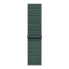Apple Watch SE 2024 40mm Aluminium корпус ремешок Sport Loop, Lake Green