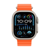 Apple Watch Ultra 2 Natural Titanium Ocean Band Orange