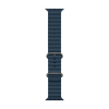 Apple Watch Ultra 2 Natural Titanium Ocean Band Blue