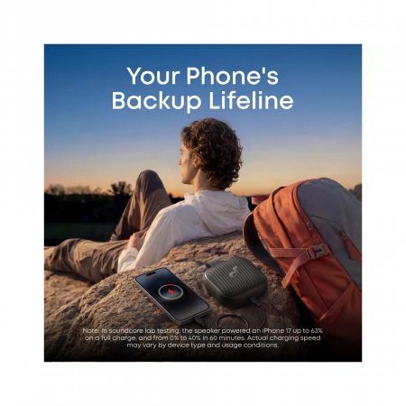 Портативная колонка soundcore Boom Go 3i
