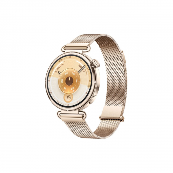 Умные часы Huawei Watch GT 6 41mm